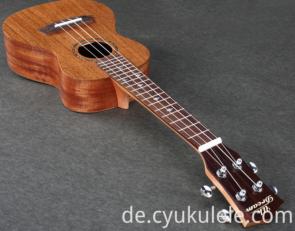 ukulele20